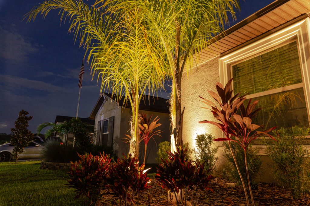 Warm LED uplighting on palm trees and facade at a Gainesville home